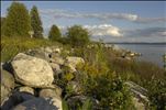 southeast michigan e steward recycling plants