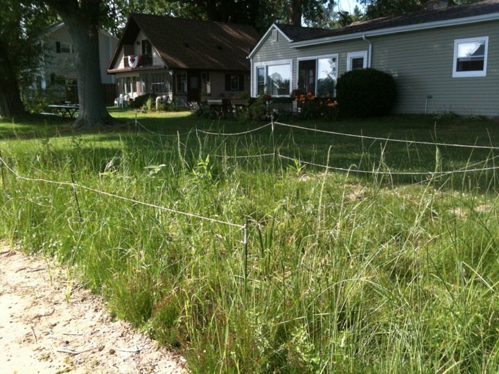 Shoreline Restoration 2011