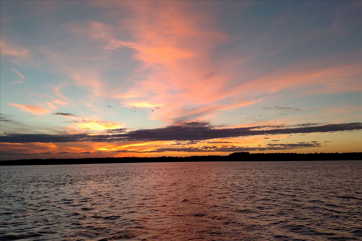 Tomahawk Lake Association, WI Michigan Shoreland Stewards